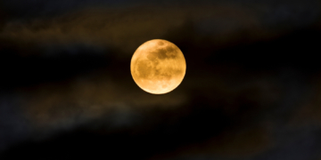 The Full Flower Moon in Scorpio Is Coming: Everything You Need to Know