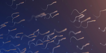 The Strangely Specific Time Your Sperm Quality Peaks