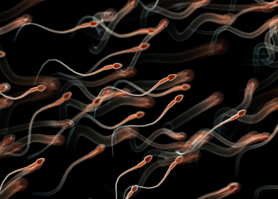 A Biotech Startup Says It Grew Human Sperm in a Dish. But Does It Work?