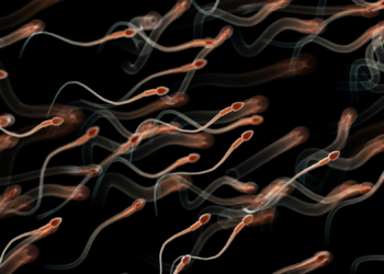 A Biotech Startup Says It Grew Human Sperm in a Dish. But Does It Work?