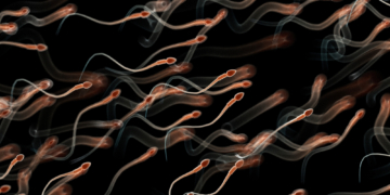 A Biotech Startup Says It Grew Human Sperm in a Dish. But Does It Work?