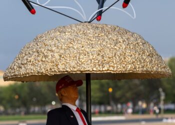 Statue of Trump under a faux golden dome appears briefly on National Mall
