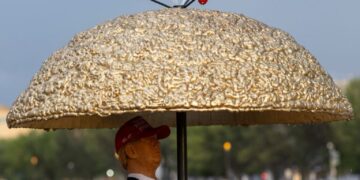 Statue of Trump under a faux golden dome appears briefly on National Mall