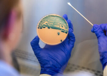 A Common Stomach Bug Has Become Harder to Treat