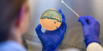 A Common Stomach Bug Has Become Harder to Treat