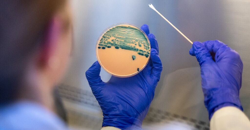 A Common Stomach Bug Has Become Harder to Treat