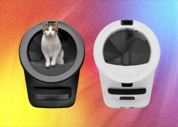 Which Automatic Litter Box Is Best? We Tested Litter-Robot’s Lineup