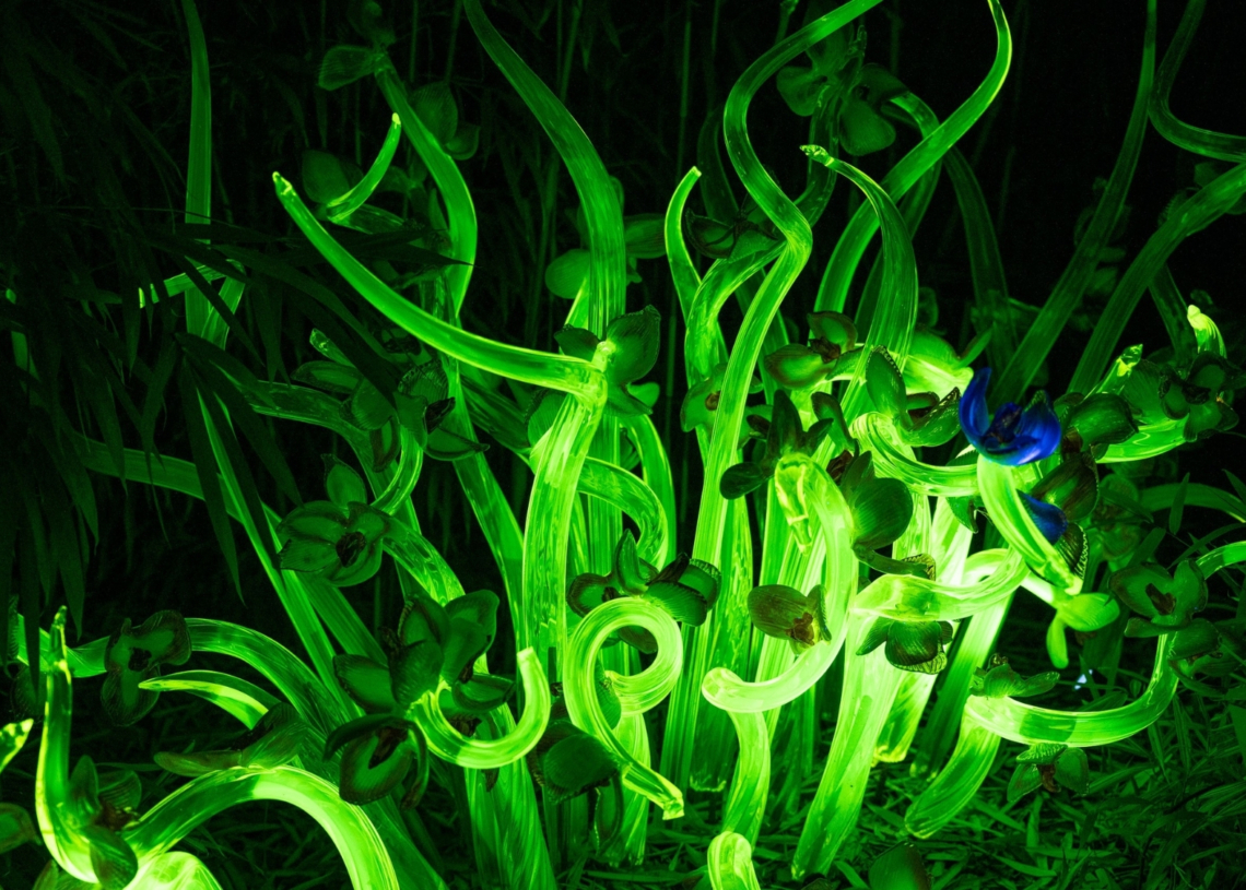 Why Scientists Gave These Plants Firefly DNA