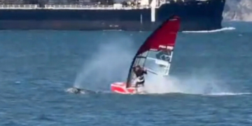 Windsurfer Gets Wrecked by Whale in San Francisco Bay in Crazy Video