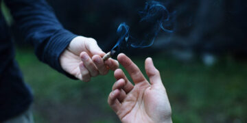 The surprising ways cannabis may affect the aging brain