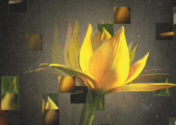 How to find joy during difficult times