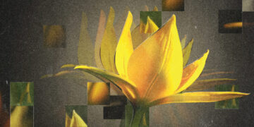 How to find joy during difficult times