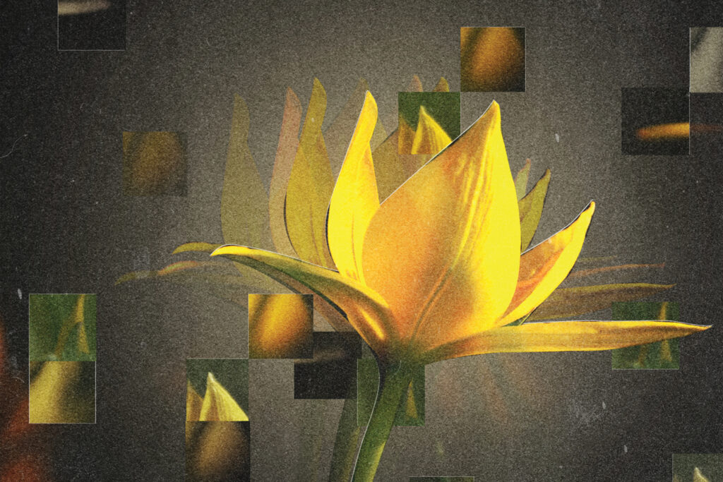 How to find joy during difficult times