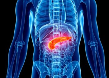 Two Drugs Stir Hope for Treatment of Deadly Pancreatic Cancer
