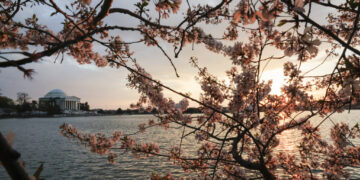 April looks warm and dry after a wild but mild March in D.C.