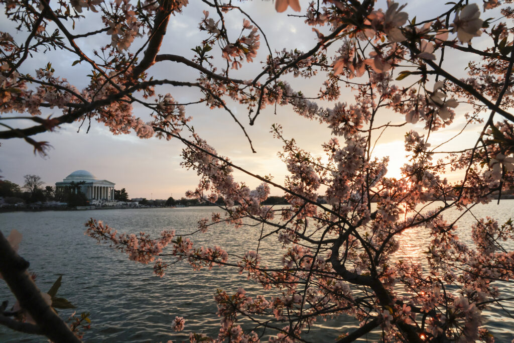 April looks warm and dry after a wild but mild March in D.C.