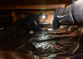 Idaho lawmakers, deadlocked over ‘rat apocalypse,’ blame city transplants