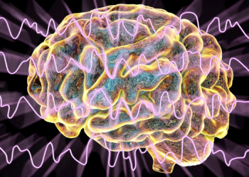 Your Brain Cleans Itself While You Sleep, and Scientists Finally Watched It Happen