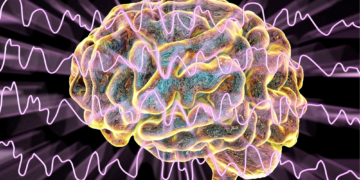 Your Brain Cleans Itself While You Sleep, and Scientists Finally Watched It Happen