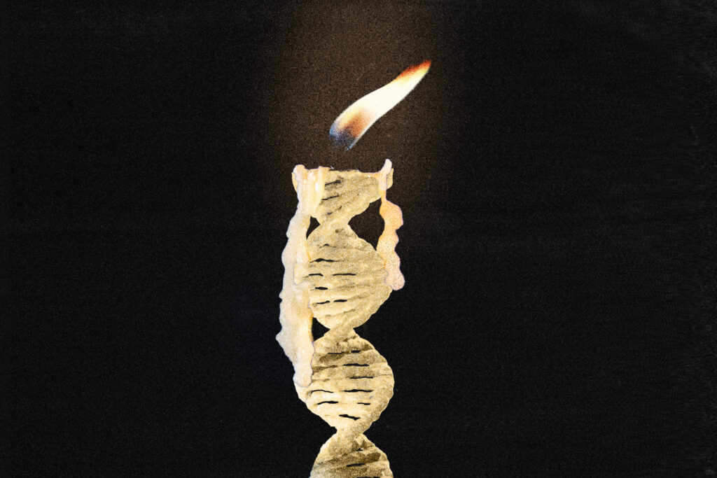 One way to live longer: Win the genetic lottery