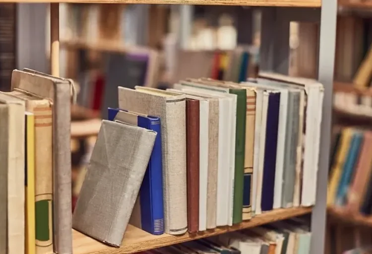 ‘Clarion call’: Report sounds alarm on book bans as Trump moves against libraries