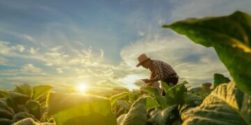 ‘Heartbreaking’: Backlash in red state as Trump kills farming program over DEI concerns