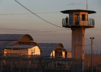 Tortured legal migrant sues Trump for $56M