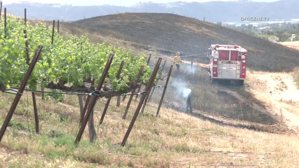 Firefighters containing a wildfire in a vineyard at Callaway Winery.