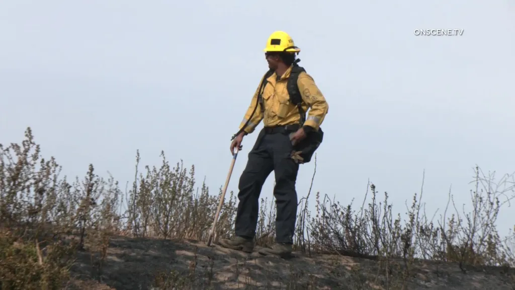 A firefighter in yellow stands on a charred hillside looking at the damage from the wildfires at Callaway Vineyard & Winery.