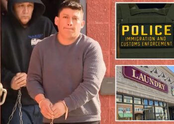 ICE arrests ‘sicko’ illegal migrant accused of kidnapping 4-year-old girl from Long Island laundromat 