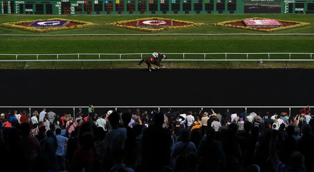 Horse and jockey Cattering with Ricardo Gonzalez during the 4th Race at Golden Gate Fields.