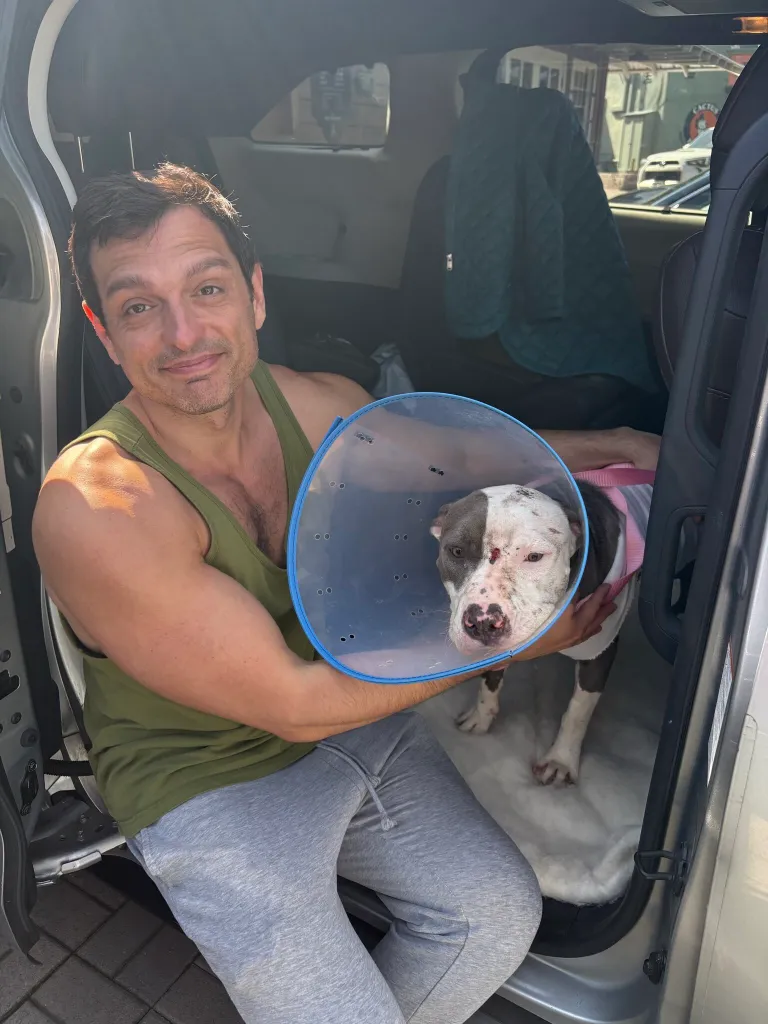 A man in a car holding a rescued dog with a cone around its neck.