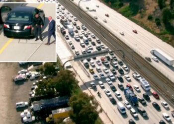 Shooting on 105 Freeway leads to traffic standstill as frightening video emerges