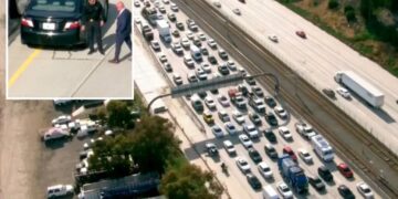Shooting on 105 Freeway leads to traffic standstill as frightening video emerges