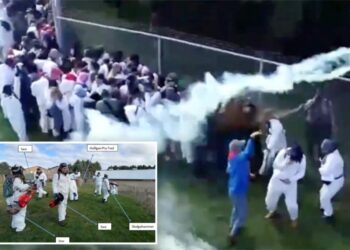 Cops fire rubber bullets, tear gas to fend off 1,000 animal rights activists attempting to free beagles from research lab