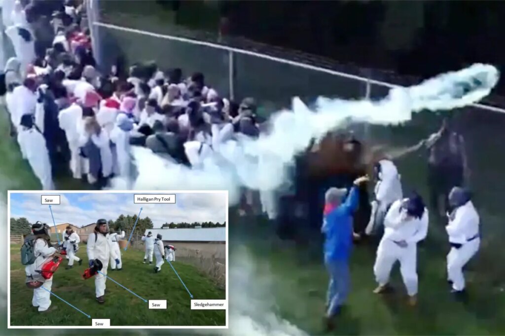 Cops fire rubber bullets, tear gas to fend off 1,000 animal rights activists attempting to free beagles from research lab