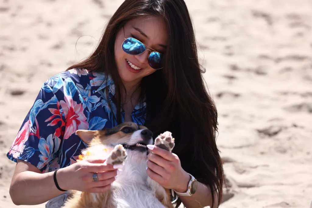 A person wearing sunglasses and a floral shirt holds a happy corgi on a sandy beach.