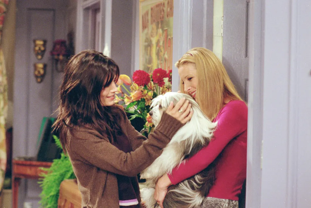 Monica and Phoebe petting a shaggy white dog from the TV series 