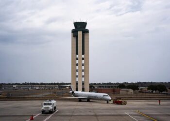 6-foot alligator delays Delta flight taking off from Georgia airport