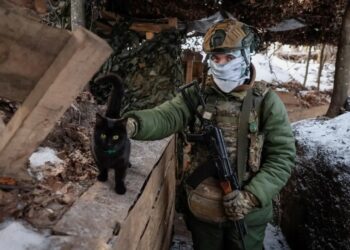 Cat and dog miracle drone rescue in war-torn Ukraine