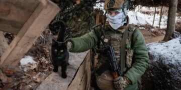 Cat and dog miracle drone rescue in war-torn Ukraine