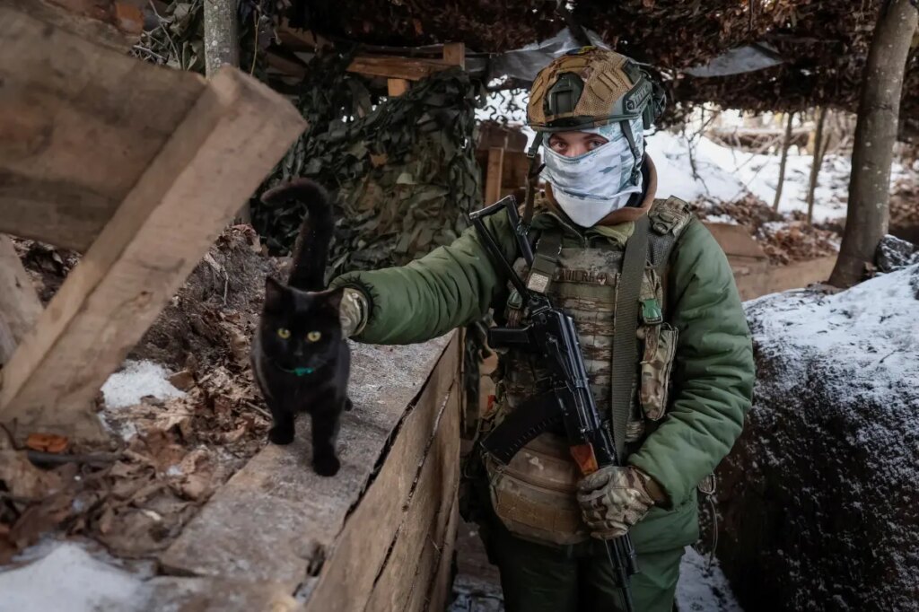 Cat and dog miracle drone rescue in war-torn Ukraine