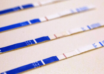 U.S. Government Will Stop Paying for Test Strips to Detect Deadly Drugs