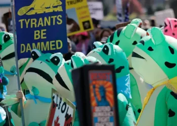 Progressive policies aren’t just popular on the left — they’re the majority: new report