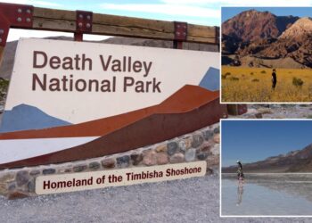 California’s desert giant ranked top destination in the US — another state park cracks top 10