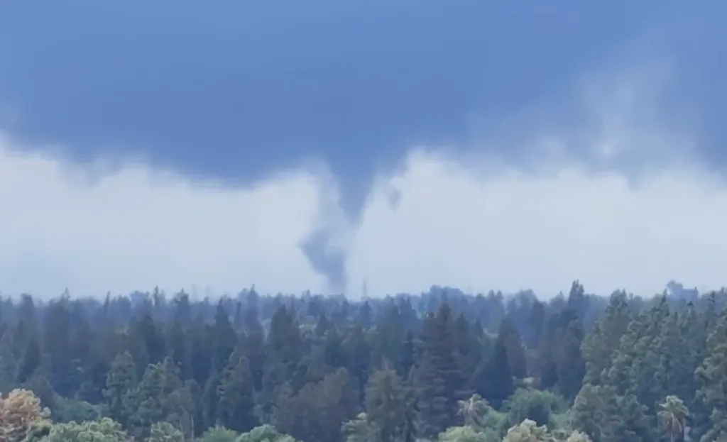 Drone footage shows a tornado forming in the distant sky above a dense forest.