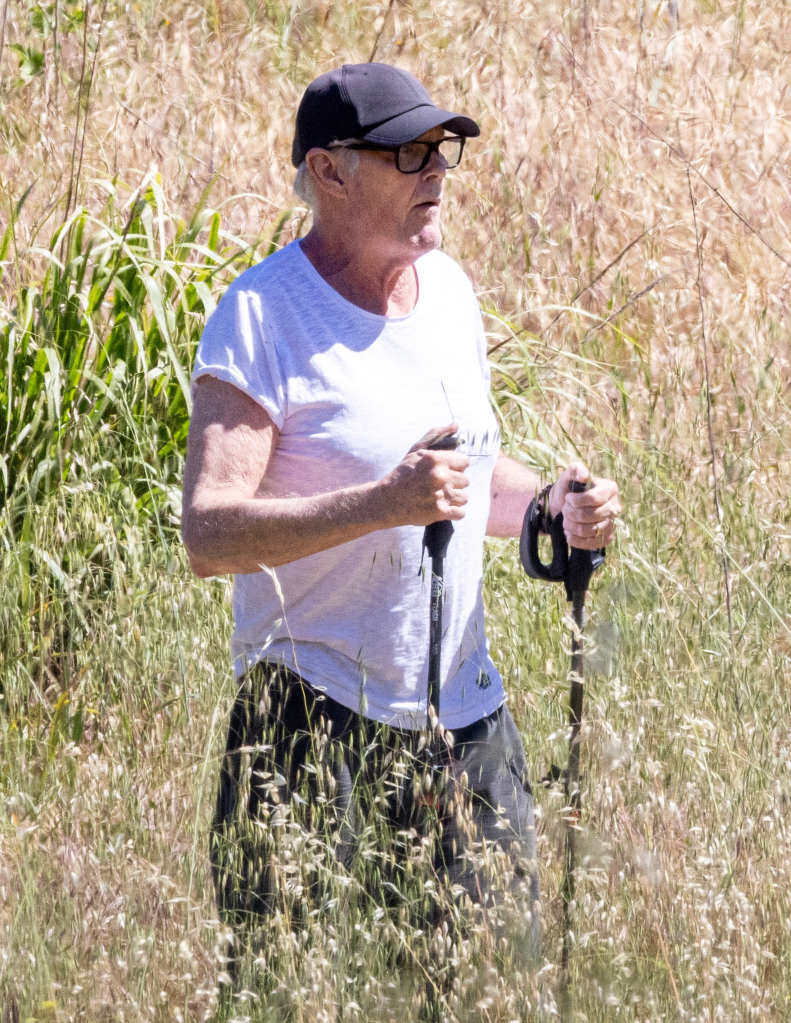 David Hasselhoff hiking in tall grass with walking sticks.