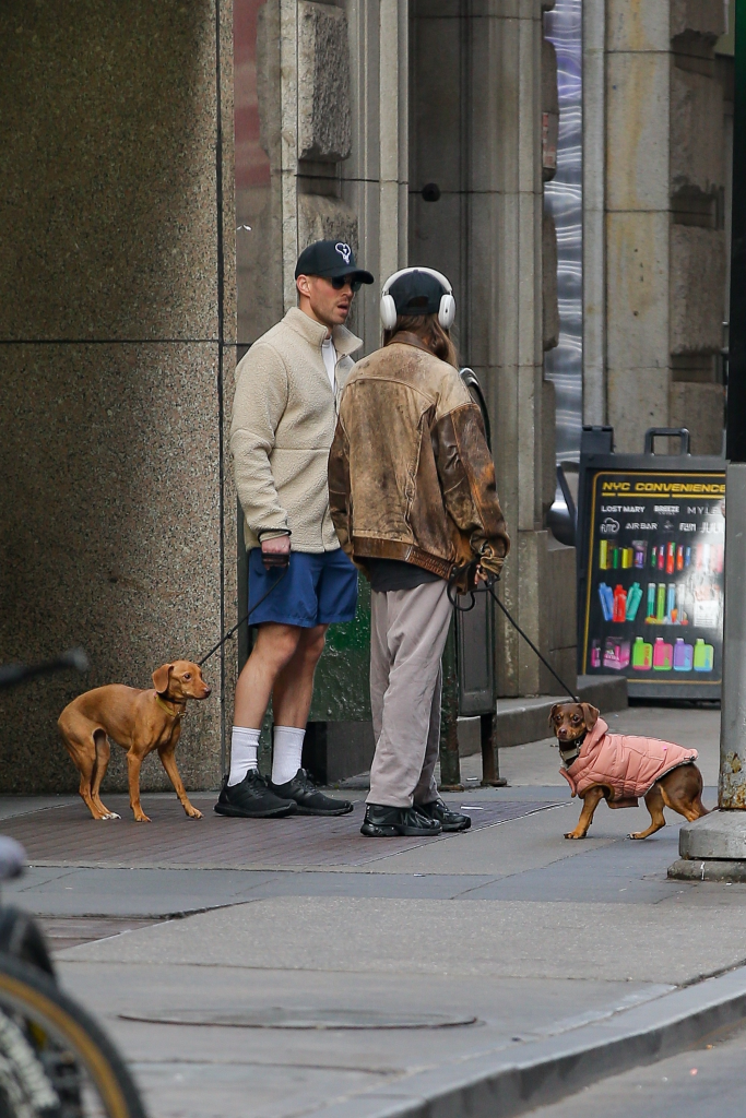 Amanda Batula and Kyle Cooke with their dogs on a New York City street.