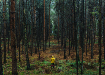 Scientists Say This Solo Outdoor Habit Can Cure Your Loneliness