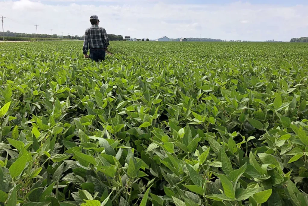 UN warns of ‘significant and severe’ food crisis if Strait of Hormuz stays closed